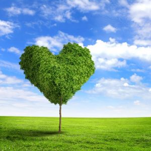14080530 - green grass heart symbol against blue sky